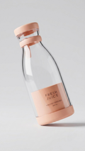 Mini Juicer Blender